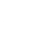 Feature 4 Icon