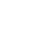 Feature 3 Icon