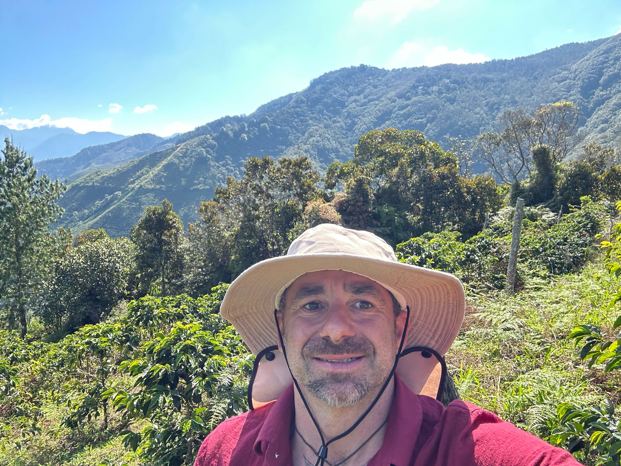 Piloncillo Colombiano