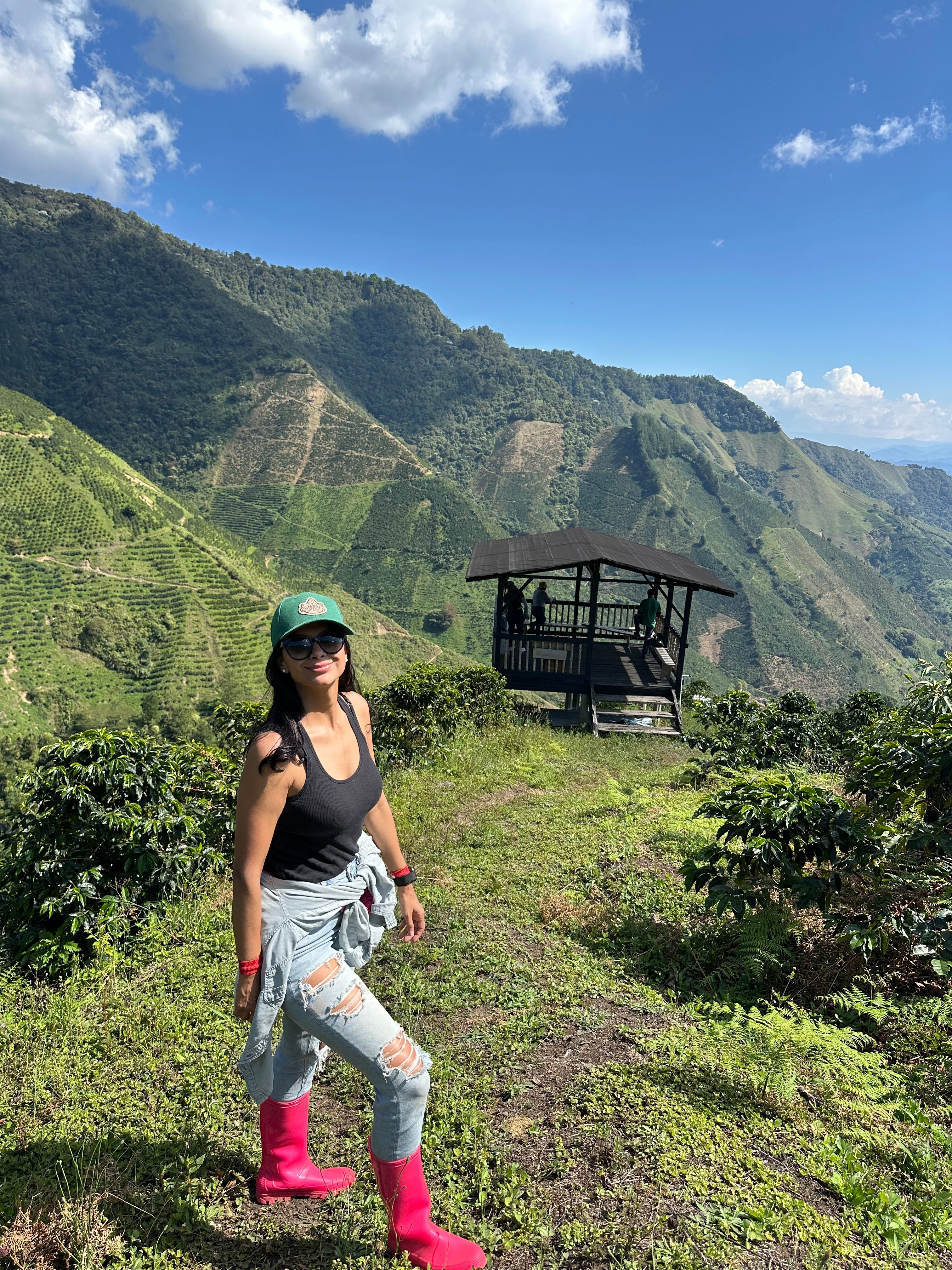 Colombian Bold as Gold