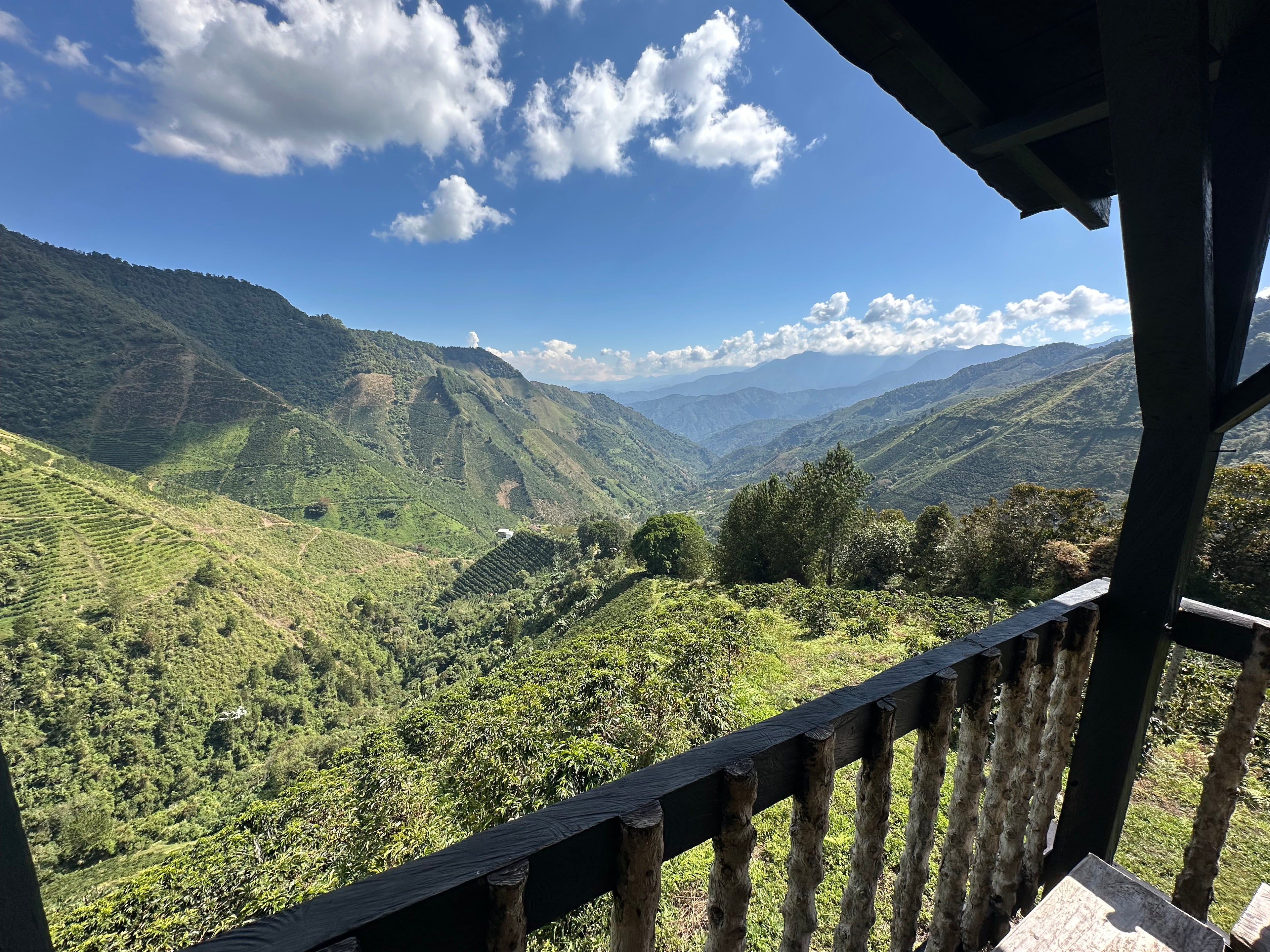 Piloncillo Colombiano