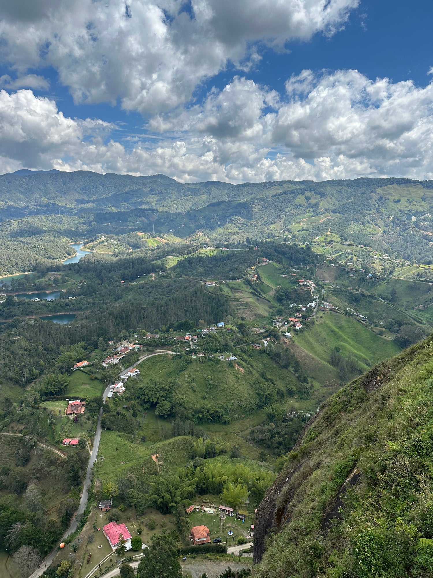 Colombian Bold as Gold