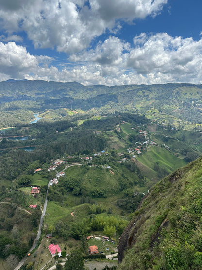 Colombian Bold as Gold